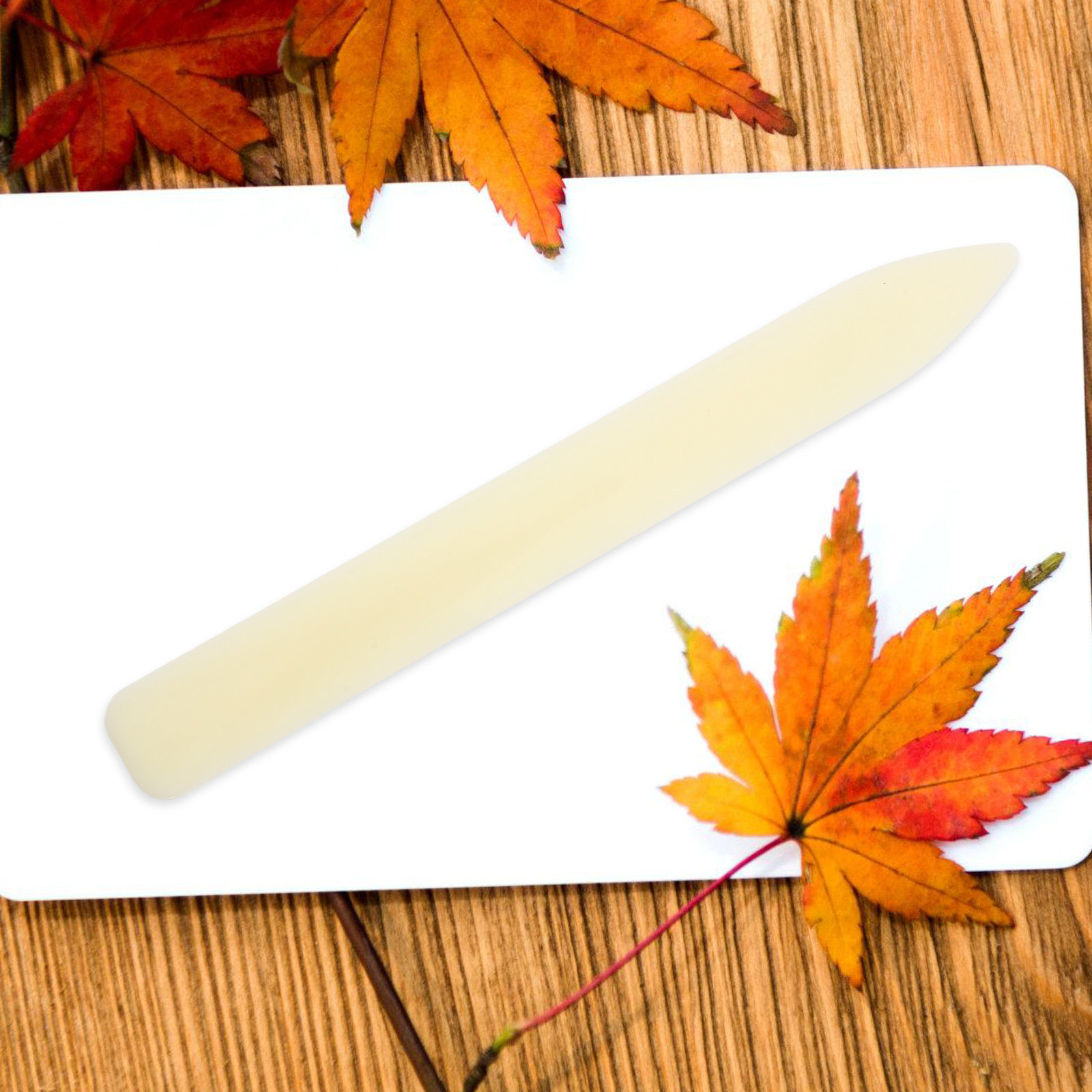5 шт. пластиковых инструментов – обзор и цена Bone Folder Tool
